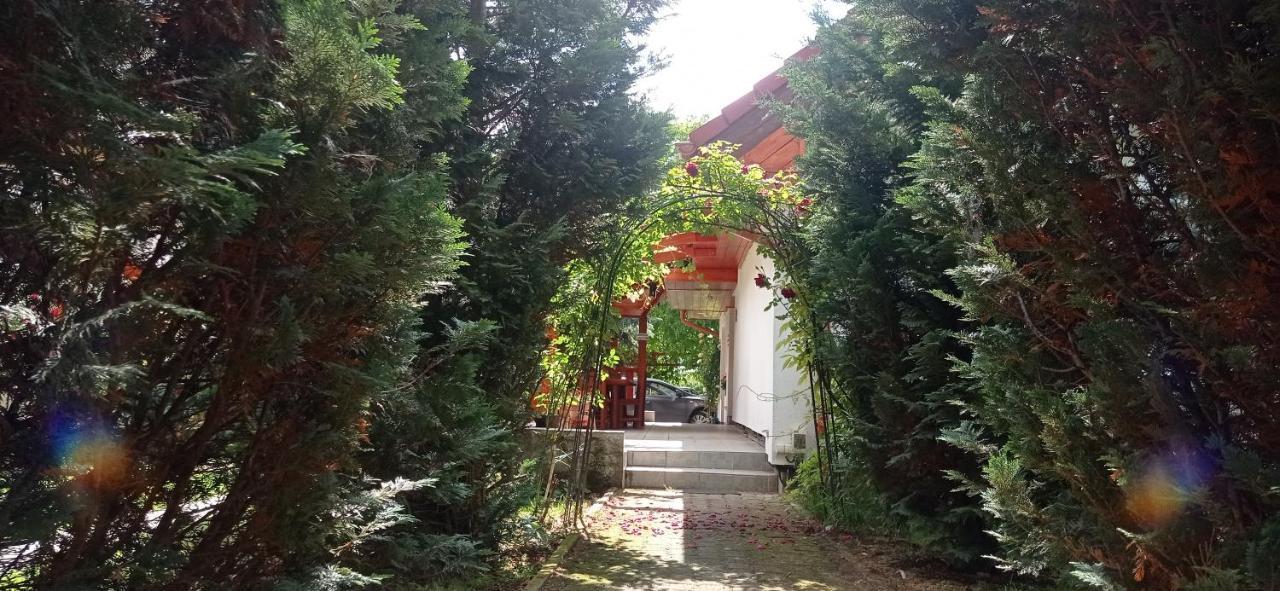 Отель Robitel Wellness Vendeghaz Veszprem-Gyulafiratot Экстерьер фото
